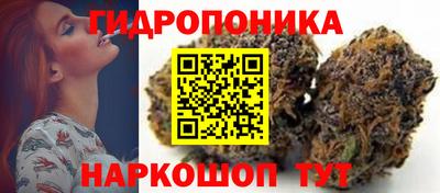 дурь Дубна