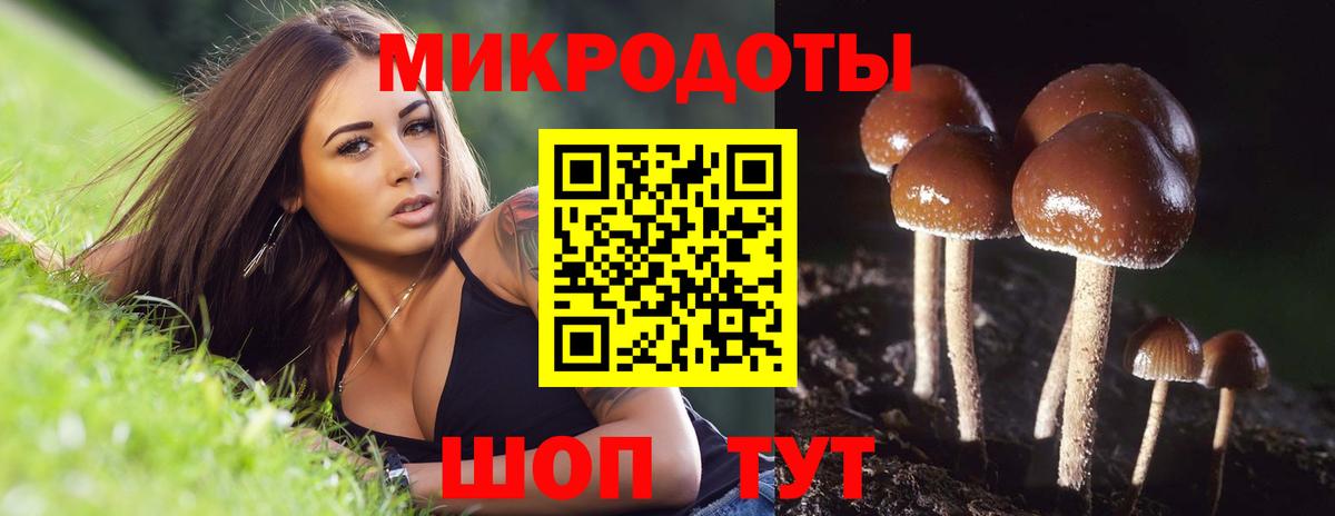 Новокузнецк  Псилоцибиновые грибы MAGIC MUSHROOMS  Вход с VPN 